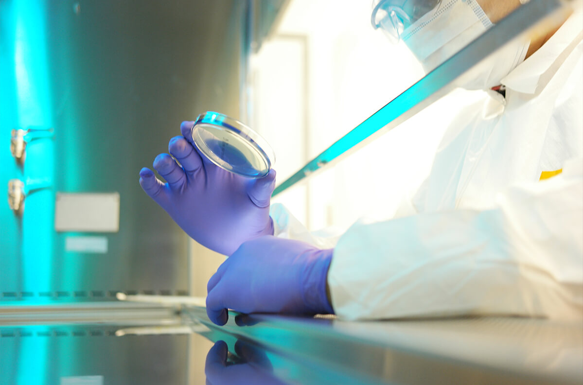 Key Markets - Nutraceuticals & Pharma